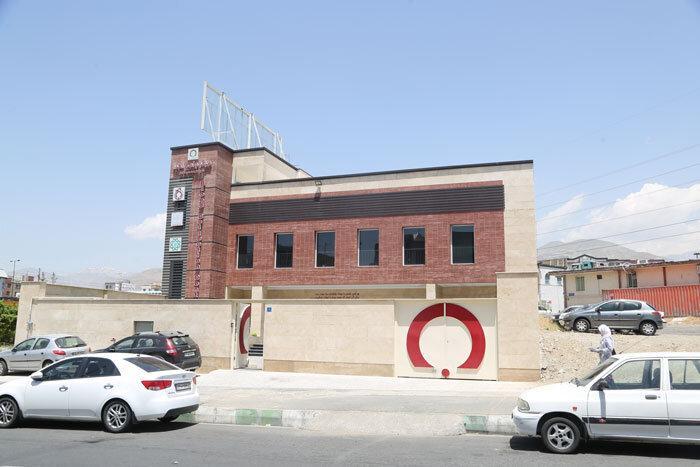 رنگ خوش زندگی در چمن گل رنگ خوش زندگی در چمن گل
