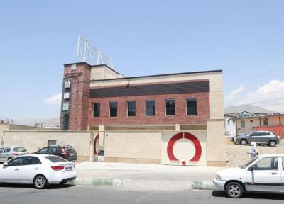 رنگ خوش زندگی در چمن گل