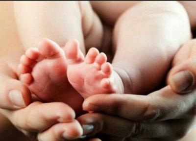 اهدای تخمک و جنین؛ روشی پیچیده اما کارآمد در درمان ناباروری