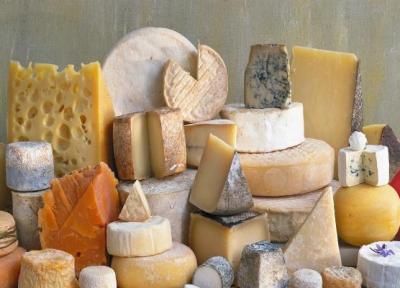 آیا پنیر برای شما مفید است؟